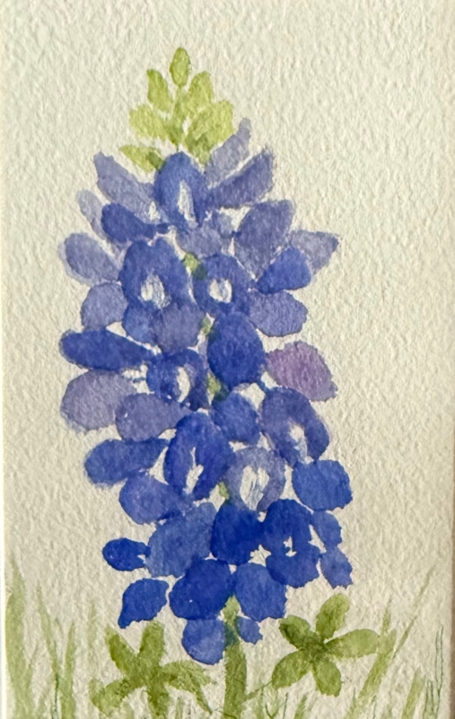 Spring Bluebonnet by artist Pat Flathouse